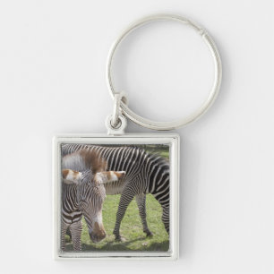 Bedfordshire, England Key Ring
