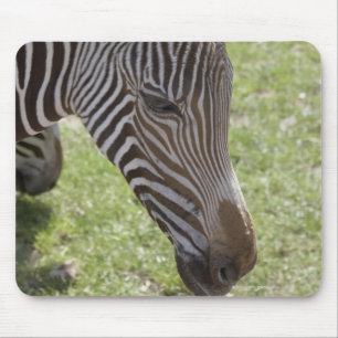 Bedfordshire, England Mouse Mat