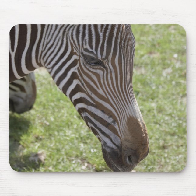 Bedfordshire, England Mouse Mat (Front)