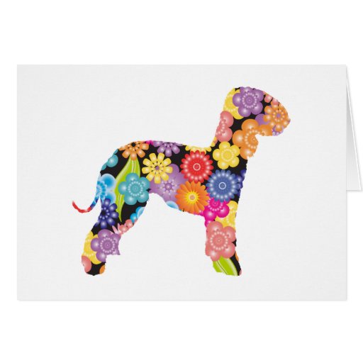 Image of Bedlington Terrier