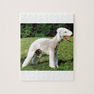 Bedlington Terrier Dog Jigsaw Puzzle