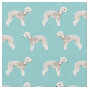 bedlington terrier dogs light blue fabric