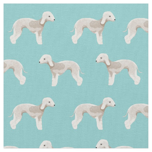 bedlington terrier dogs light blue fabric (Close Up)