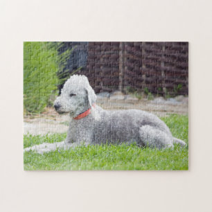 Bedlington Terrier Jigsaw Puzzle