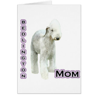Bedlington Terrier Mum 4