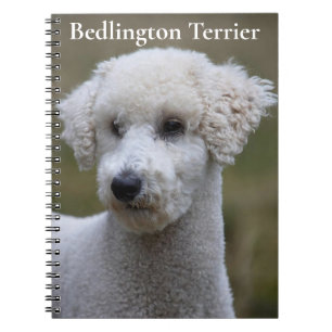 Bedlington Terrier Notebook