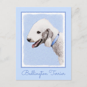 Bedlington Terrier Painting - Original Dog Art Postcard
