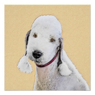 Bedlington Terrier Painting - Original Dog Art Poster