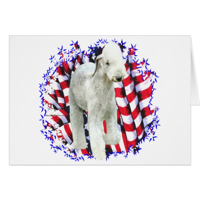 Bedlington Terrier Patriot (Front Horizontal)