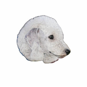 Bedlington Terrier Standing Photo Sculpture