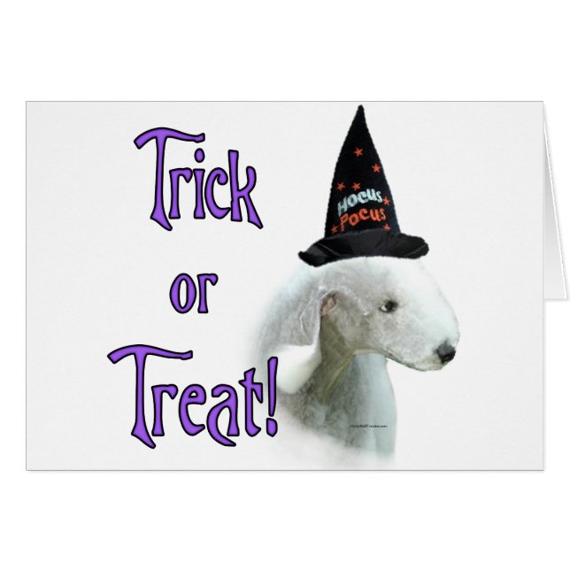 Bedlington Terrier Trick (Front Horizontal)
