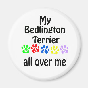 Bedlington Terrier Walks Design Magnet