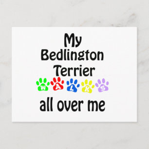 Bedlington Terrier Walks Design Postcard