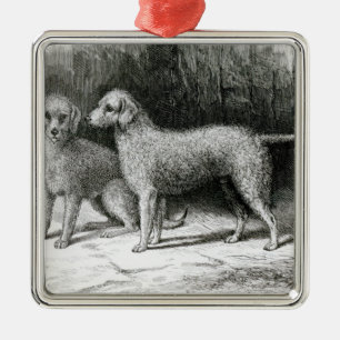 Bedlington Terriers- Mr. F. Armstrong's Metal Tree Decoration