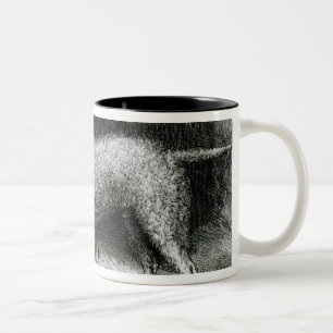 Bedlington Terriers- Mr. F. Armstrong's Two-Tone Coffee Mug