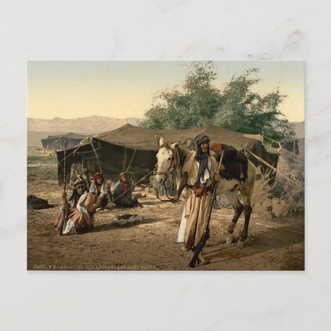 Bedouin Tent in the Holy Land Postcard (Front)