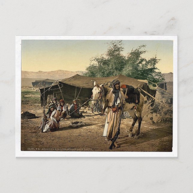 Bedouins and their tents, Holy Land rare Photochro Postcard (Front)