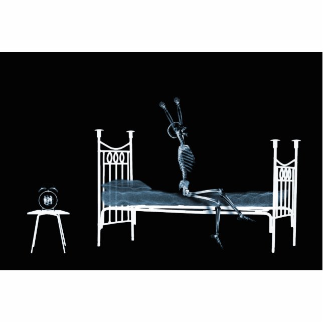 Bedtime X-Ray Skeleton Black Blue Standing Photo Sculpture (Front)