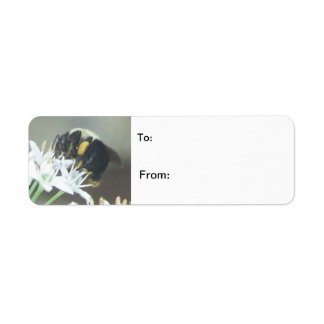 Bee