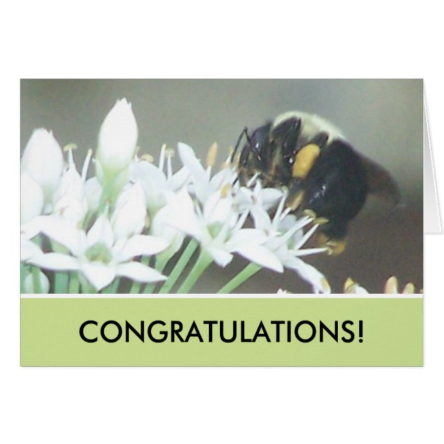 Bee (Front Horizontal)