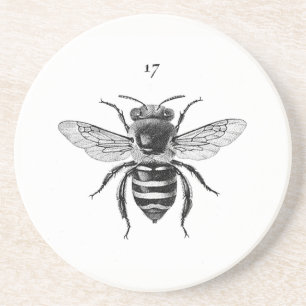 Bee 17 Sandstone Coaster