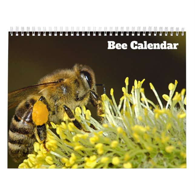 Bee 2027 calendar (Cover)
