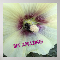 Bee Amazing!