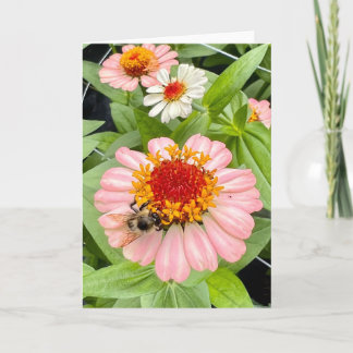 Bee and Blossom Greeting Card