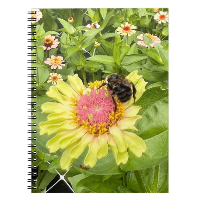 Bee and Blossom  Notebook (Front)