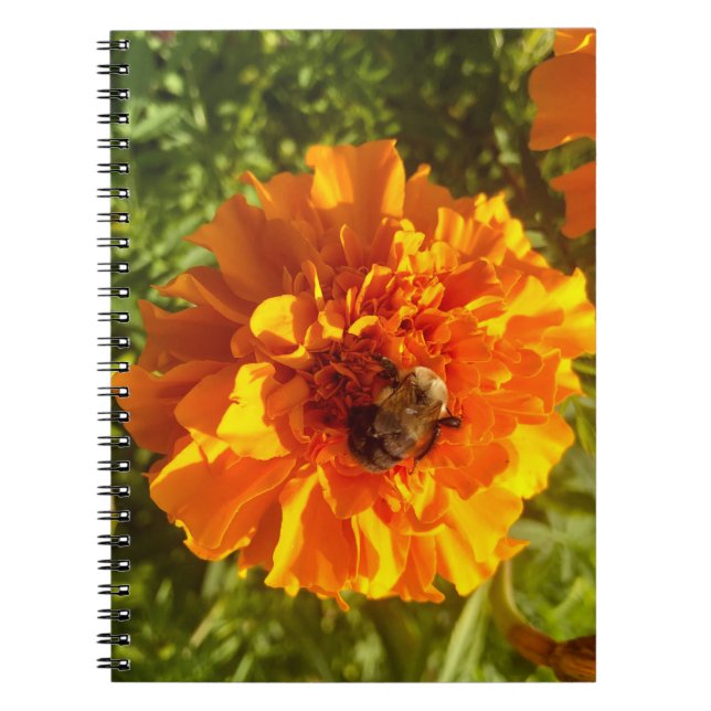 Bee and Blossom  Notebook (Front)