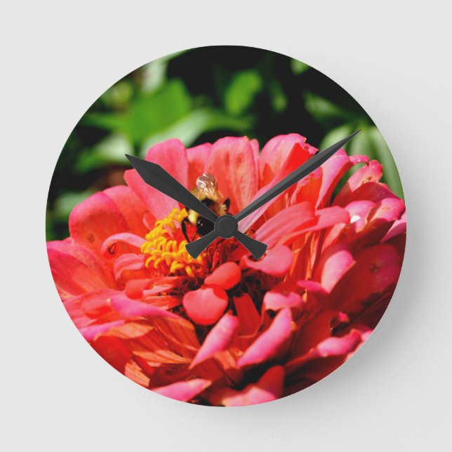 Bee and coral zinnia round clock (Front)