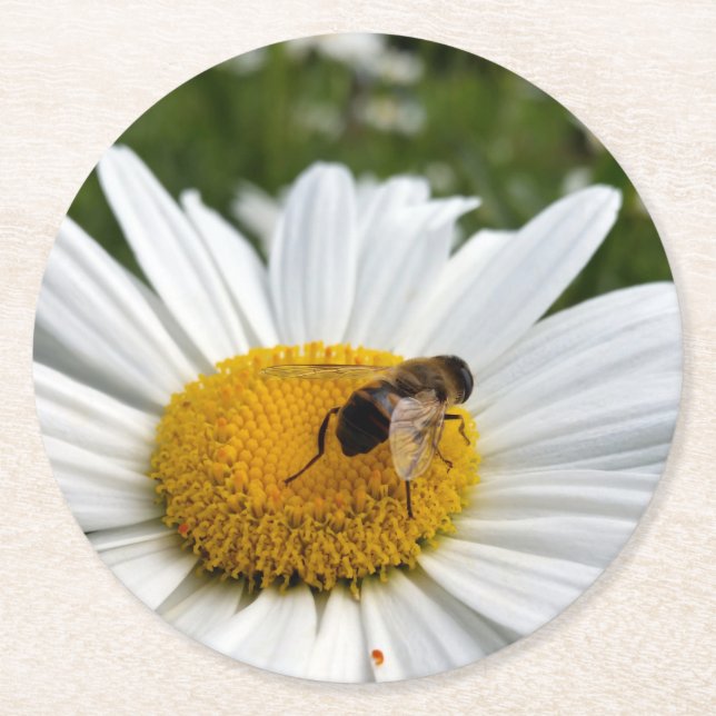 bee and daisy round paper coaster (Front)