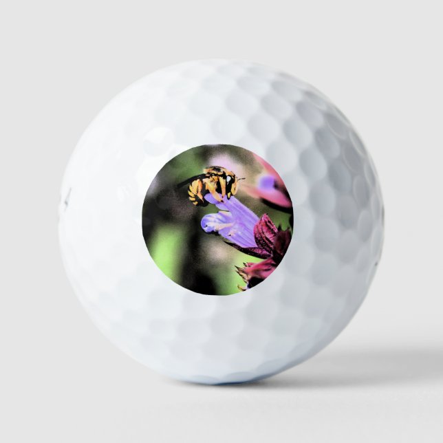 Bee and Flower be6 gbcna Golf Balls (Front)