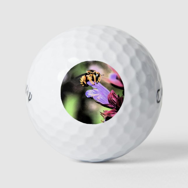 Bee and Flower cwb gbcnm Golf Balls (Front)