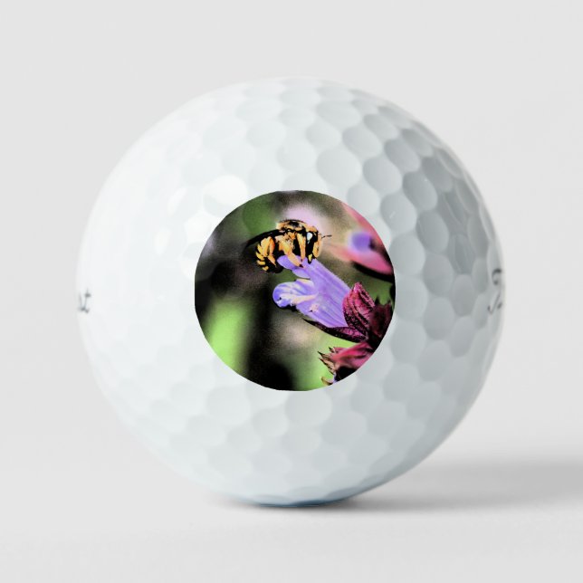 Bee and Flower tpv1 gbcna Golf Balls (Front)