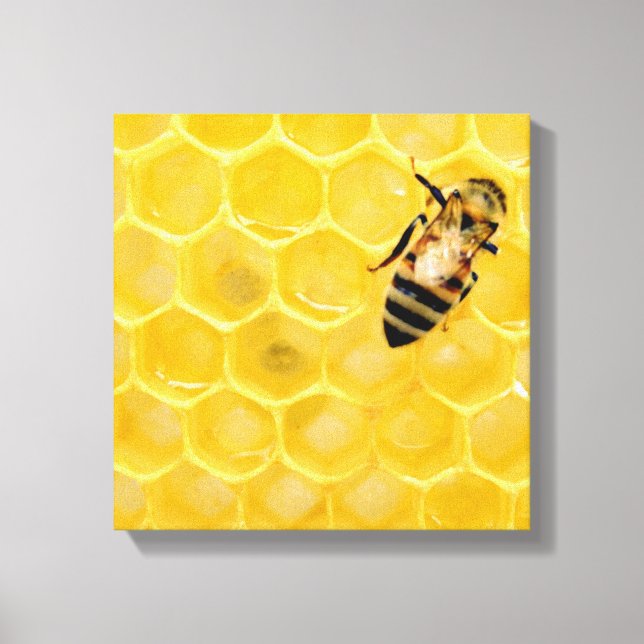 bee and honeycomb canvas print (Front)