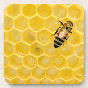 bee and honeycomb coaster