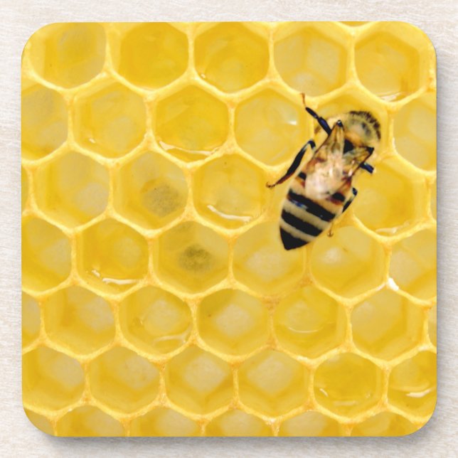 bee and honeycomb coaster (Front)