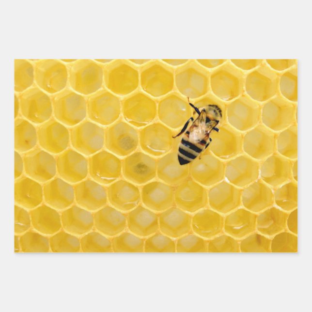 bee and honeycomb wrapping paper sheet (Front)