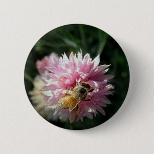 Bee and Pink Flower 6 Cm Round Badge