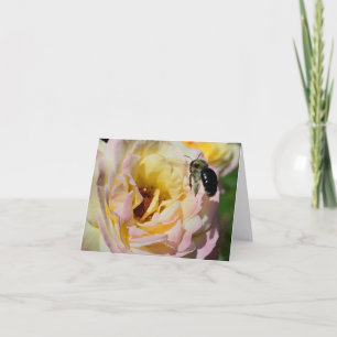 Bee And Rose Flower Photography Note Card