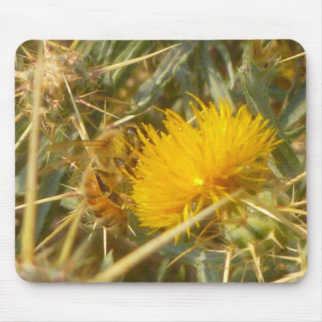 Bee and Star Thistle (Centaurea solstitialis) Mouse Mat (Front)