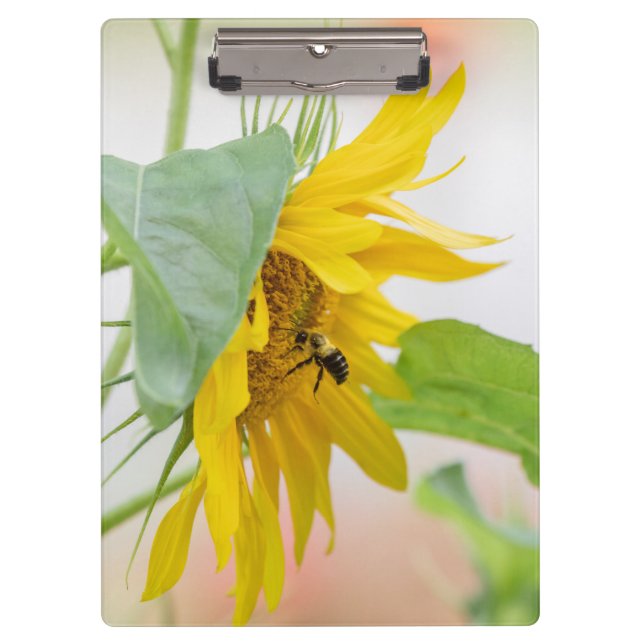 Bee And Sunflower  Clipboard (Front)