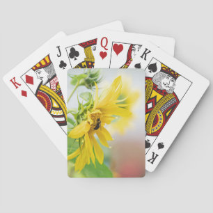 Bee And Sunflower Playing Cards