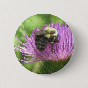 Bee and Thistle Button
