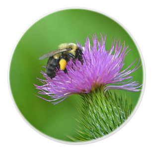 Bee and Thistle Ceramic Knob
