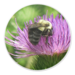 Bee and Thistle Ceramic Knob