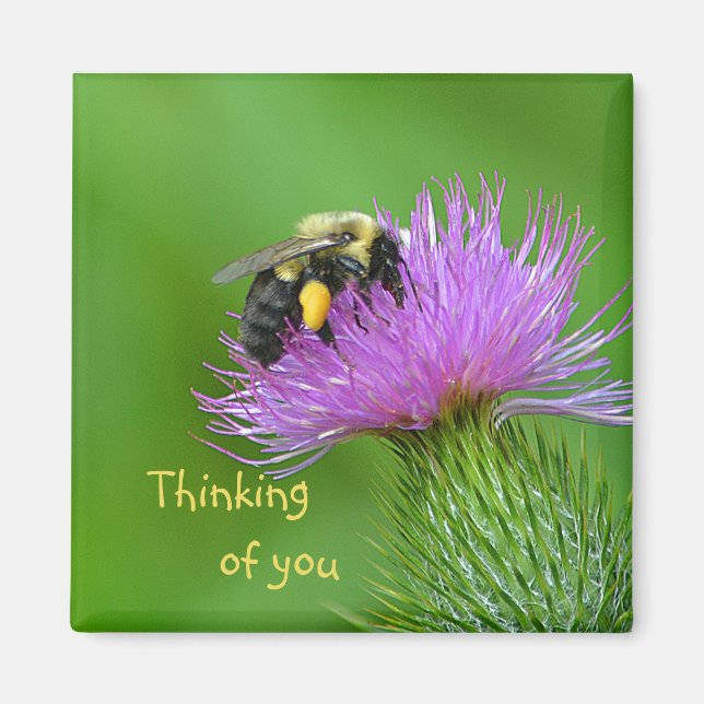 Bee And Thistle Magnet (Front)