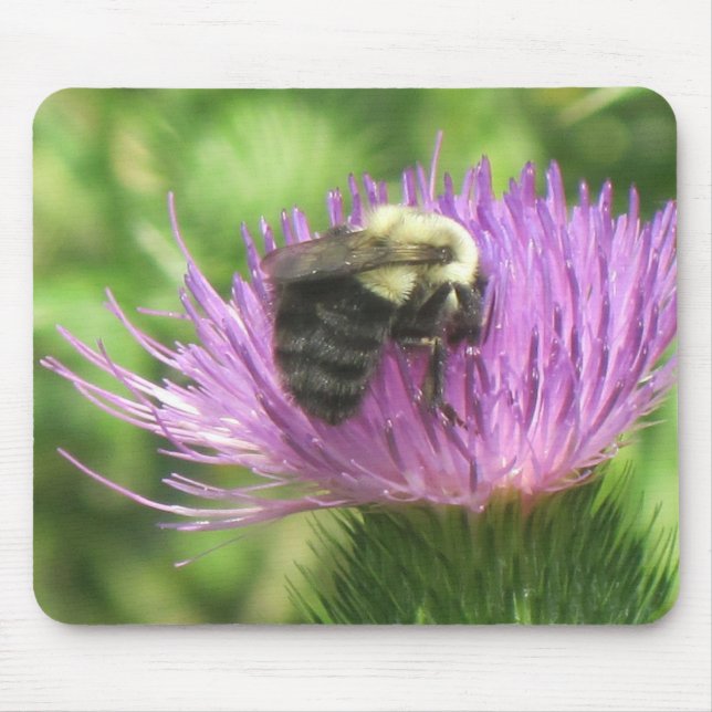 Bee and Thistle Mouse Mat (Front)