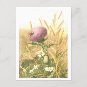 Bee and Thistle Postcard